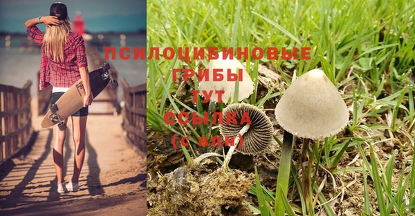 кокаин колумбия Каменка
