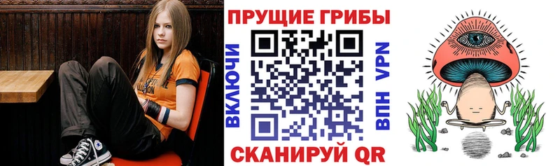 Купить где  Вилюйск  Псилоцибиновые грибы Cubensis 