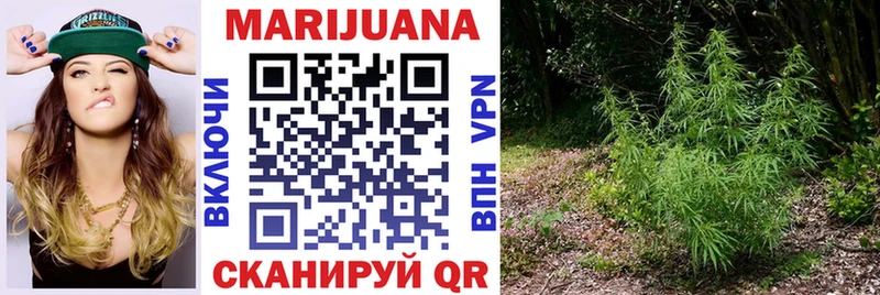 Купить где Вилюйск МАРИХУАНА семена